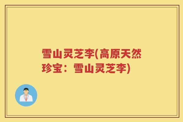 雪山灵芝李(高原天然珍宝:雪山灵芝李) 雪山灵芝李(高原天然珍宝:雪山灵芝李)