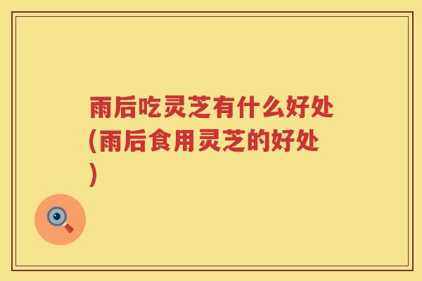 雨后吃灵芝有什么好处(雨后食用灵芝的好处)