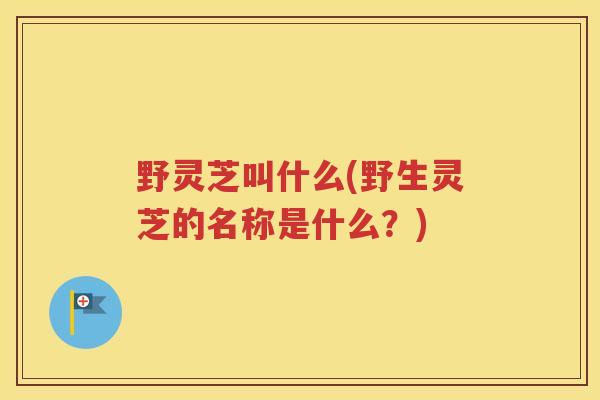 野灵芝叫什么(野生灵芝的名称是什么？)