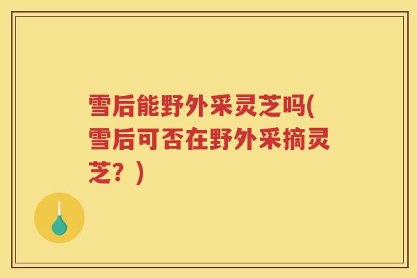 雪后能野外采灵芝吗(雪后可否在野外采摘灵芝?) 雪后能野外采灵芝吗(雪后可否在野外采摘灵芝?)