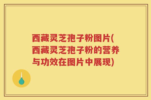 西藏灵芝孢子粉图片(西藏灵芝孢子粉的营养与功效在图片中展现)