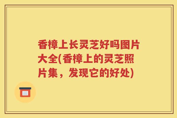 香樟上长灵芝好吗图片大全(香樟上的灵芝照片集，发现它的好处)