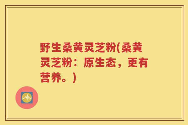 野生桑黄灵芝粉(桑黄灵芝粉：原生态，更有营养。)