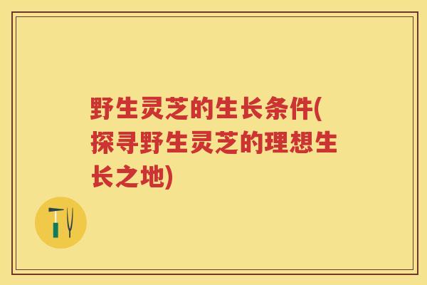 野生灵芝的生长条件(探寻野生灵芝的理想生长之地)