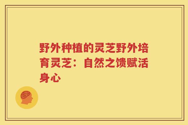 野外种植的灵芝野外培育灵芝:自然之馈赋活身心 野外种植的灵芝野外培育灵芝:自然之馈赋活身心