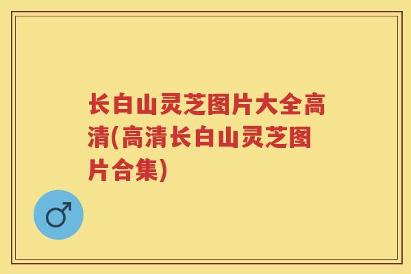 长白山灵芝图片大全高清(高清长白山灵芝图片合集)