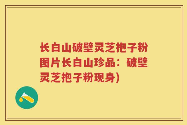 长白山破壁灵芝抱子粉图片长白山珍品:破壁灵芝抱子粉现身) 长白山破壁灵芝抱子粉图片长白山珍品:破壁灵芝抱子粉现身)