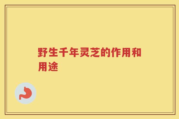 野生千年灵芝的作用和用途 野生千年灵芝的作用和用途