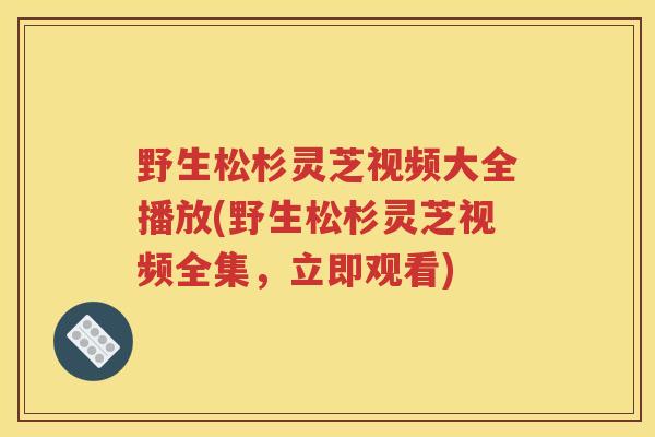 野生松杉灵芝视频大全播放(野生松杉灵芝视频全集,立即观看) 野生松杉灵芝视频大全播放(野生松杉灵芝视频全集,立即观看)