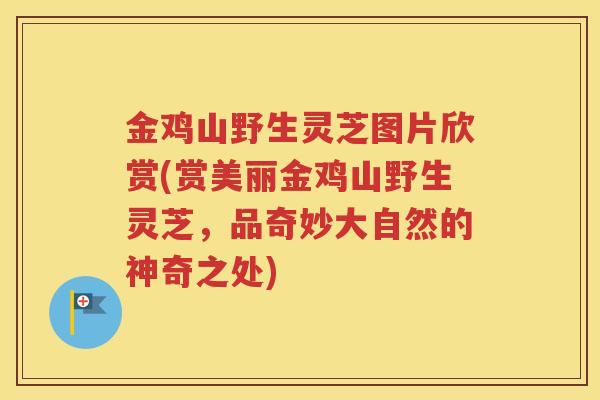 金鸡山野生灵芝图片欣赏(赏美丽金鸡山野生灵芝，品奇妙大自然的神奇之处)