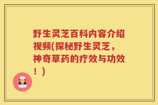 野生灵芝百科内容介绍视频(探秘野生灵芝，神奇草药的疗效与功效！)
