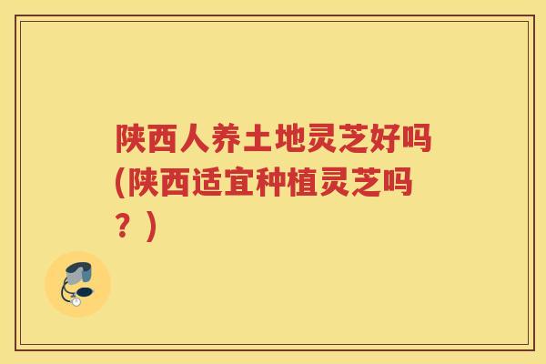 陕西人养土地灵芝好吗(陕西适宜种植灵芝吗？)