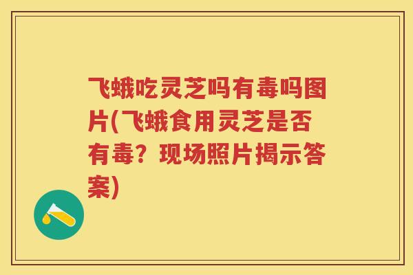 飞蛾吃灵芝吗有毒吗图片(飞蛾食用灵芝是否有毒？现场照片揭示答案)