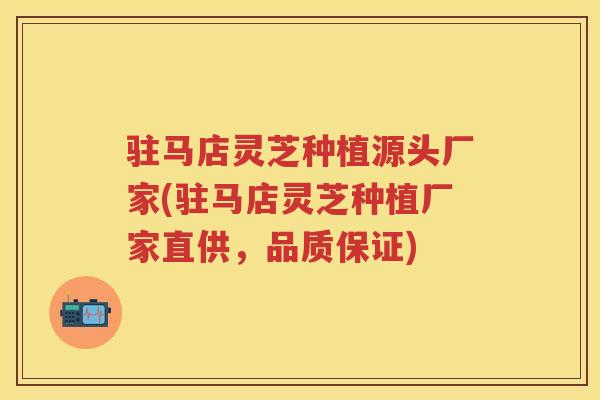 驻马店灵芝种植源头厂家(驻马店灵芝种植厂家直供,品质保证) 驻马店灵芝种植源头厂家(驻马店灵芝种植厂家直供,品质保证)