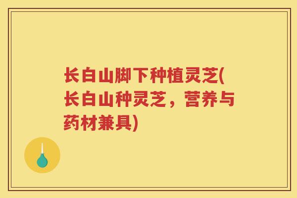 长白山脚下种植灵芝(长白山种灵芝，营养与药材兼具)