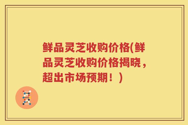 鲜品灵芝收购价格(鲜品灵芝收购价格揭晓,超出市场预期!) 鲜品灵芝收购价格(鲜品灵芝收购价格揭晓,超出市场预期!)