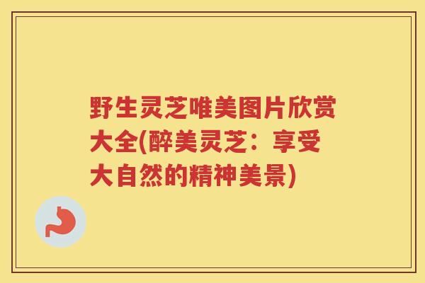 野生灵芝唯美图片欣赏大全(醉美灵芝：享受大自然的精神美景)