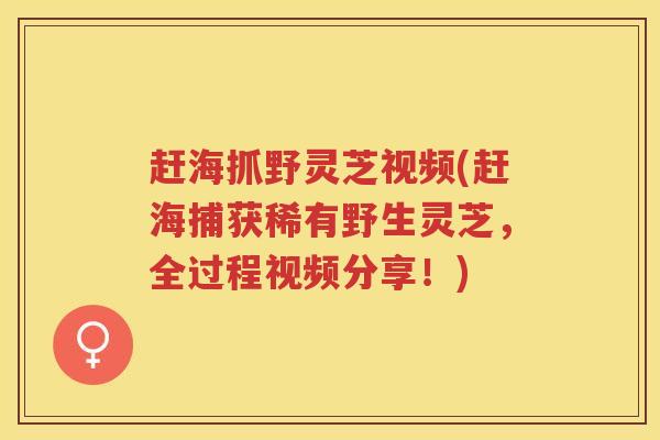 赶海抓野灵芝视频(赶海捕获稀有野生灵芝，全过程视频分享！)