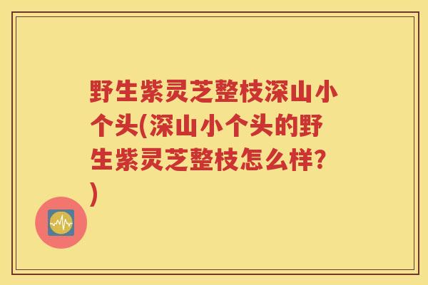 野生紫灵芝整枝深山小个头(深山小个头的野生紫灵芝整枝怎么样？)