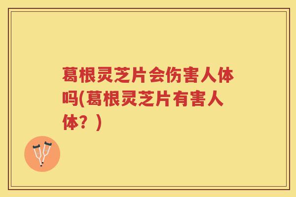 葛根灵芝片会伤害人体吗(葛根灵芝片有害人体？)