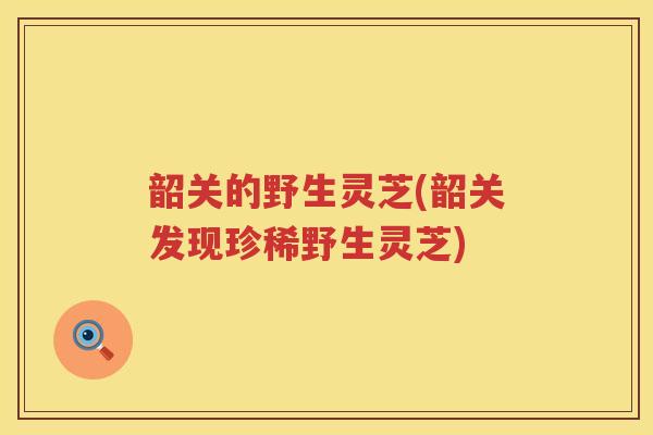 韶关的野生灵芝(韶关发现珍稀野生灵芝) 韶关的野生灵芝(韶关发现珍稀野生灵芝)