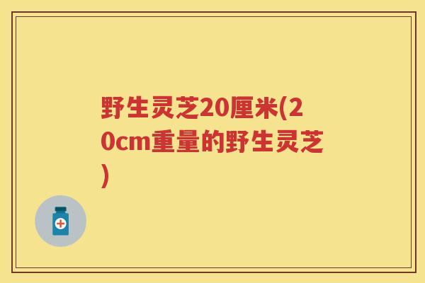 野生灵芝20厘米(20cm重量的野生灵芝)