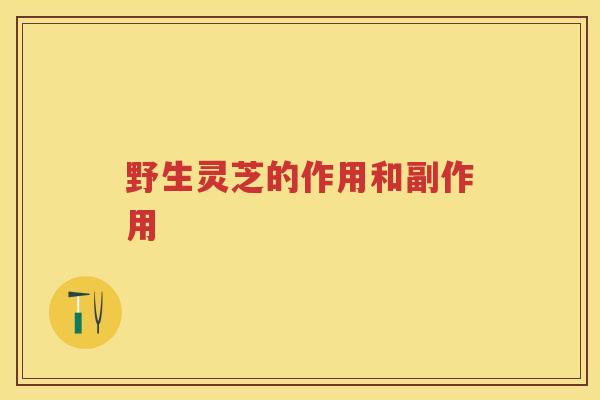 野生灵芝的作用和副作用 野生灵芝的作用和副作用