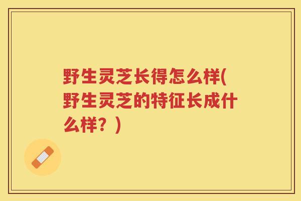 野生灵芝长得怎么样(野生灵芝的特征长成什么样？)