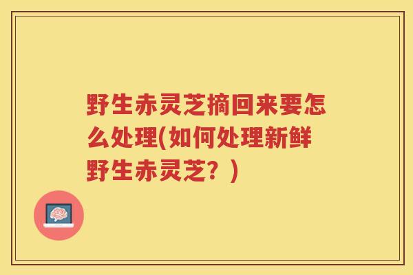 野生赤灵芝摘回来要怎么处理(如何处理新鲜野生赤灵芝？)