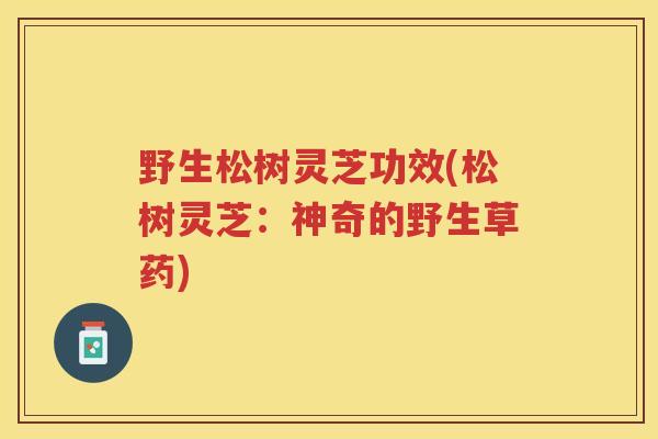 野生松树灵芝功效(松树灵芝:神奇的野生草药) 野生松树灵芝功效(松树灵芝:神奇的野生草药)
