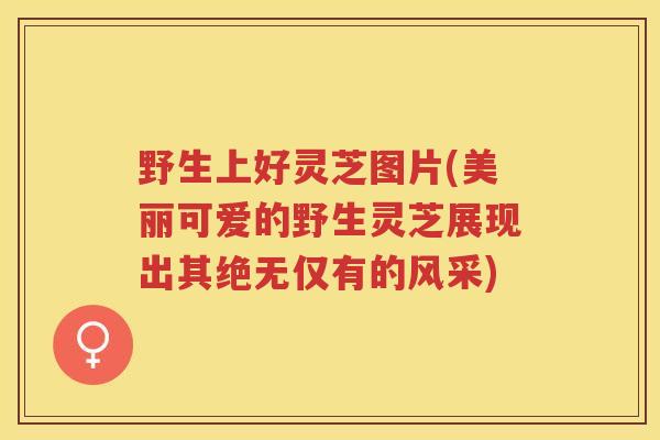 野生上好灵芝图片(美丽可爱的野生灵芝展现出其绝无仅有的风采)