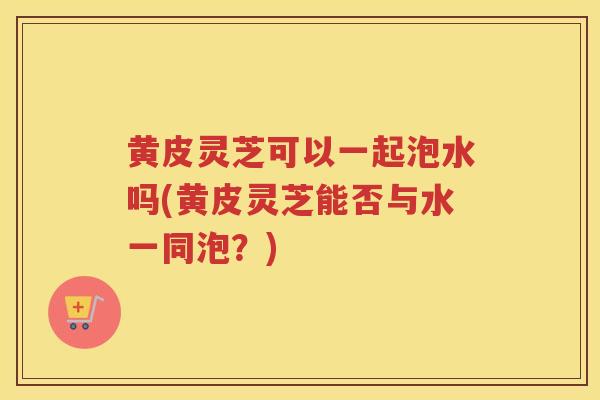 黄皮灵芝可以一起泡水吗(黄皮灵芝能否与水一同泡？)