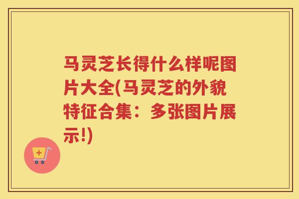 马灵芝长得什么样呢图片大全(马灵芝的外貌特征合集：多张图片展示!)