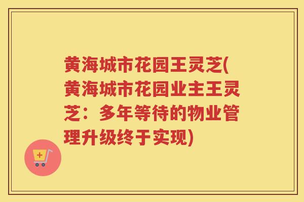 黄海城市花园王灵芝(黄海城市花园业主王灵芝:多年等待的物业管理升级终于实现) 黄海城市花园王灵芝(黄海城市花园业主王灵芝:多年等待的物业管理升级终于实现)