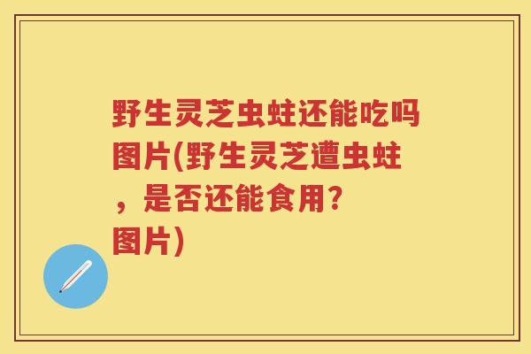 野生灵芝虫蛀还能吃吗图片(野生灵芝遭虫蛀,是否还能食用? 图片) 野生灵芝虫蛀还能吃吗图片(野生灵芝遭虫蛀,是否还能食用? 图片)