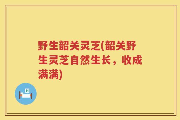 野生韶关灵芝(韶关野生灵芝自然生长，收成满满)