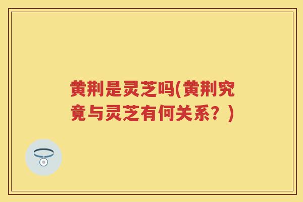 黄荆是灵芝吗(黄荆究竟与灵芝有何关系?) 黄荆是灵芝吗(黄荆究竟与灵芝有何关系?)