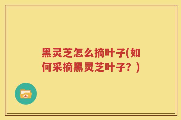 黑灵芝怎么摘叶子(如何采摘黑灵芝叶子?) 黑灵芝怎么摘叶子(如何采摘黑灵芝叶子?)