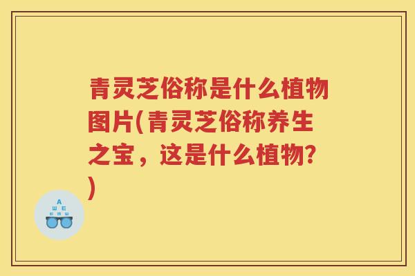 青灵芝俗称是什么植物图片(青灵芝俗称养生之宝，这是什么植物？)
