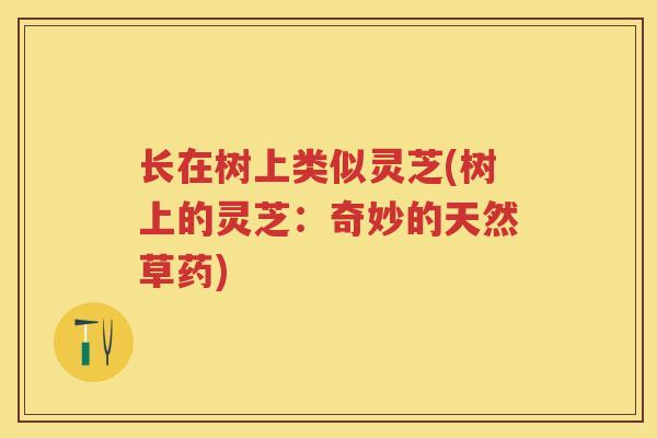 长在树上类似灵芝(树上的灵芝：奇妙的天然草药)