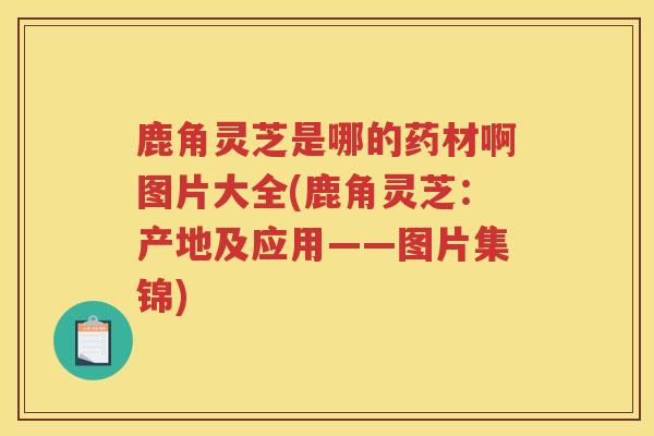 鹿角灵芝是哪的药材啊图片大全(鹿角灵芝：产地及应用——图片集锦)
