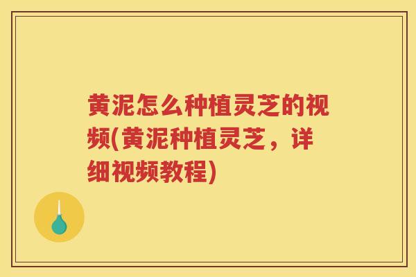 黄泥怎么种植灵芝的视频(黄泥种植灵芝，详细视频教程)