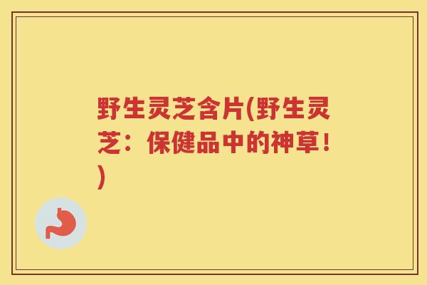 野生灵芝含片(野生灵芝:保健品中的神草!) 野生灵芝含片(野生灵芝:保健品中的神草!)