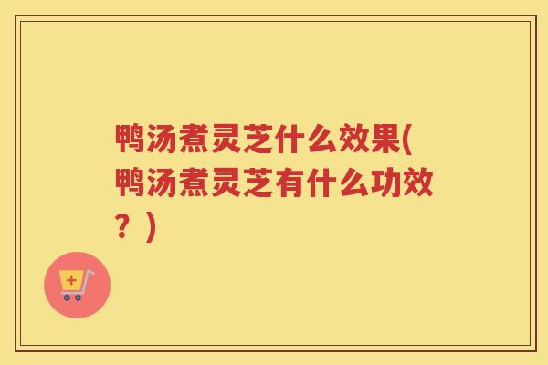 鸭汤煮灵芝什么效果(鸭汤煮灵芝有什么功效？)