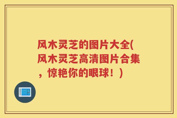 风木灵芝的图片大全(风木灵芝高清图片合集，惊艳你的眼球！)