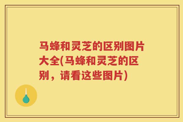马蜂和灵芝的区别图片大全(马蜂和灵芝的区别，请看这些图片)