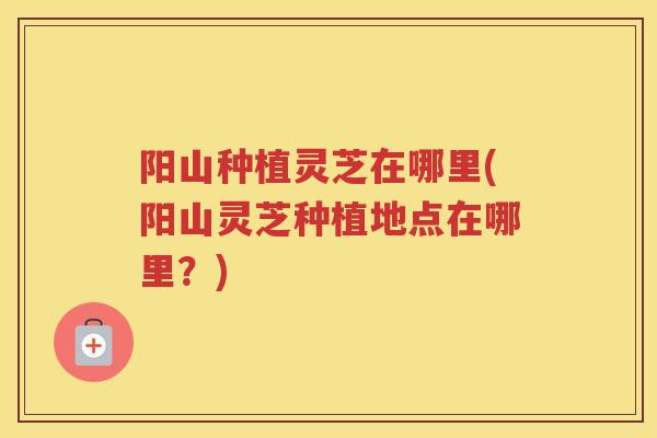阳山种植灵芝在哪里(阳山灵芝种植地点在哪里？)