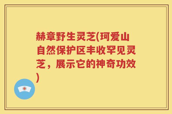赫章野生灵芝(珂爱山自然保护区丰收罕见灵芝，展示它的神奇功效)
