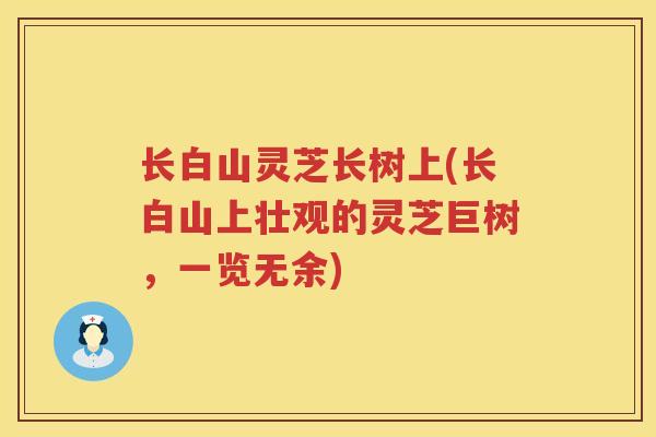 长白山灵芝长树上(长白山上壮观的灵芝巨树,一览无余) 长白山灵芝长树上(长白山上壮观的灵芝巨树,一览无余)