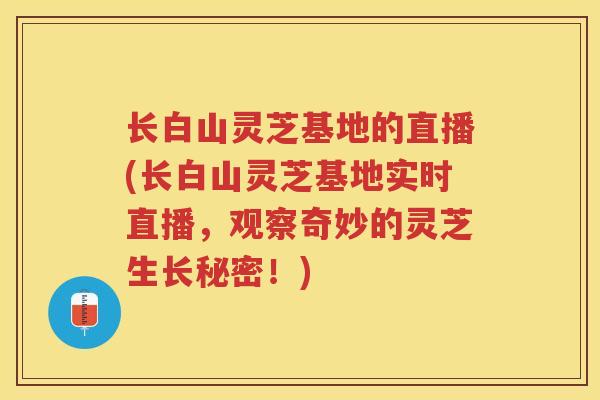 长白山灵芝基地的直播(长白山灵芝基地实时直播，观察奇妙的灵芝生长秘密！)